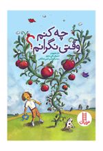 جلد کتاب چه کنم وقتی نگرانم؟