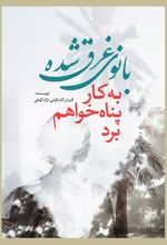 جلد کتاب بانوی غرق شده