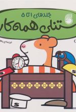 کتاب استنلی همه کاره