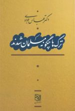 کتاب ترک‌ها چگونه مسلمان شدند