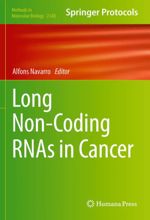 جلد کتاب Long Non-Coding RNAs in Cancer