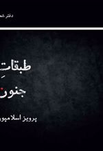 کتاب طبقات جنون