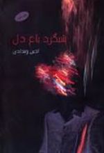 کتاب شبگرد باغ دل