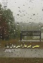 کتاب بعضی چیزها را نمی توان گفت