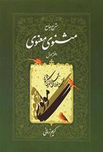کتاب شرح جامع مثنوی معنوی (دفتر اول)
