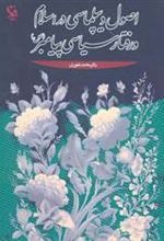 کتاب اصول دیپلماسی در اسلام و رفتار سیاسی پیامبر (ص)