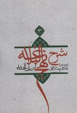 کتاب شرح نهج البلاغه 13 (شومیز)