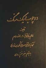 کتاب دو چوب و یک سنگ