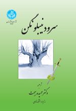 کتاب سرود نیبلونگن