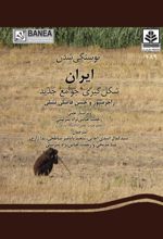جلد کتاب نوسنگی شدن ایران