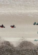 کتاب دو پرنده