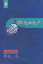 کتاب فسیلها در یک نگاه
