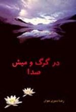 جلد کتاب در گرگ و میش صدا