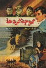 جلد کتاب کوچه‌گردها