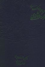 کتاب فرهنگ واژه نمای حافظ