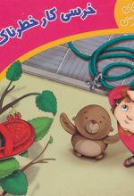 کتاب خرسی کار خطرناک کرده
