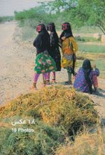 کتاب مجموعه عکس زنان نصرالله کسرائیان