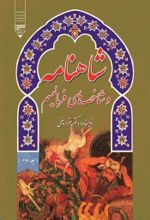 جلد کتاب کتاب شاهنامه و شاخصه های فرمالیسم (جلد دوم)