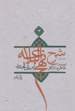 کتاب شرح نهج البلاغه 14 (زرکوب)