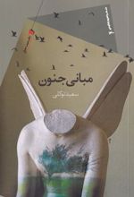 کتاب مبانی جنون