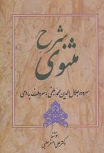 کتاب شرح مثنوی - دفتر اول
