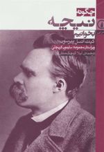 کتاب چگونه نیچه بخوانیم