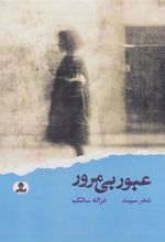 کتاب عبور بی مرور