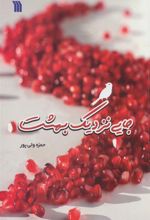 کتاب جایی نزدیک بهشت