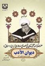 جلد کتاب دیوان الادب