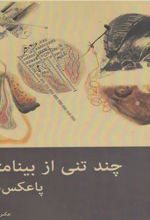 کتاب چند تنی از بینامتنیت