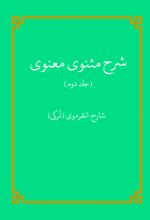 جلد کتاب شرح مثنوی معنوی (جلد دوم)