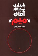 کتاب بارداری بی هنگام آقای میم