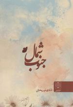 کتاب شمال جنوب