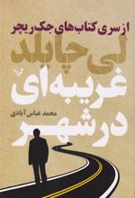 کتاب غریبه ای در شهر