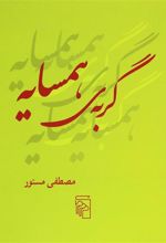 کتاب گربه همسایه