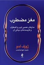 کتاب مغز مضطرب