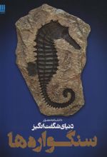 کتاب دانشنامه مصور دنیای شگفت انگیز سنگواره ها