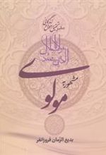 کتاب مولوی