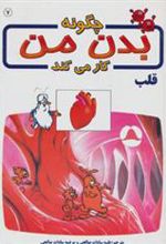 کتاب چگونه بدن من کار می کند 7