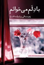 جلد کتاب با دلم می خوانم