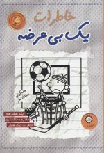 کتاب خاطرات یک بی عرضه 17