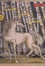 کتاب داستان رخش رخشان 2