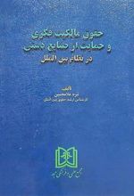 کتاب حقوق مالکیت فکری و حمایت از صنایع دستی در نظام بین الملل