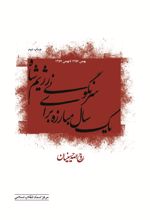 کتاب یک سال مبارزه برای سرنگونی رژیم شاه