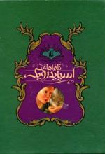کتاب مجموعه ماجراهای اسپایدرویک