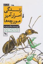 کتاب زندگی اسرار آمیز مورچه ها