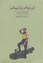 کتاب ایب لینکلن بزرگ می شود