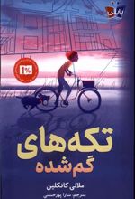کتاب تکه های گم شده