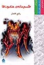 جلد کتاب طلسم خانه عنکبوت ها