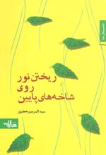 کتاب ریختن نور روی شاخه های پایین